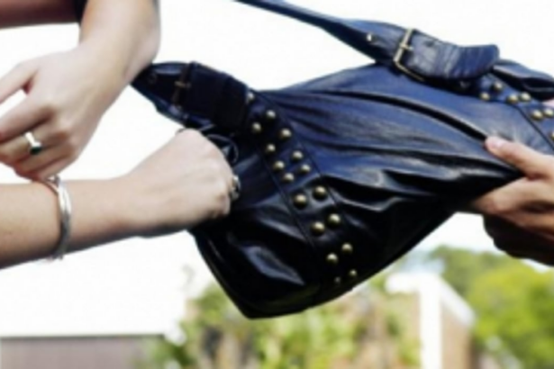 Thief caught for snatching handbag
