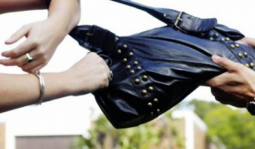Thief caught for snatching handbag 1 Thief caught for snatching handbag