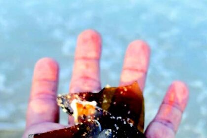 Think twice before walking barefoot on Salcete’s beaches littered with broken glass