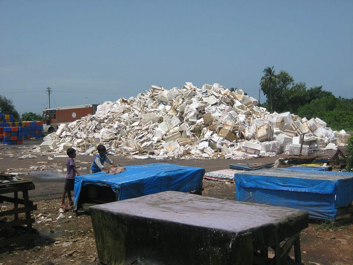 This heap of thermocol waste lying unattended at the wholesale fish market.