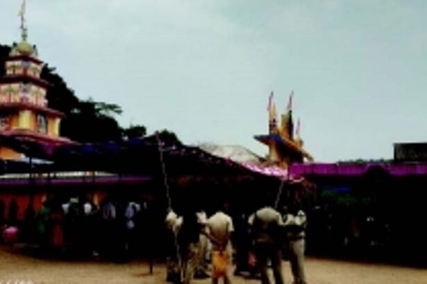 Thousands head to Goa-K’taka border for zatra of ‘Gowladevi’ at Digi Marye