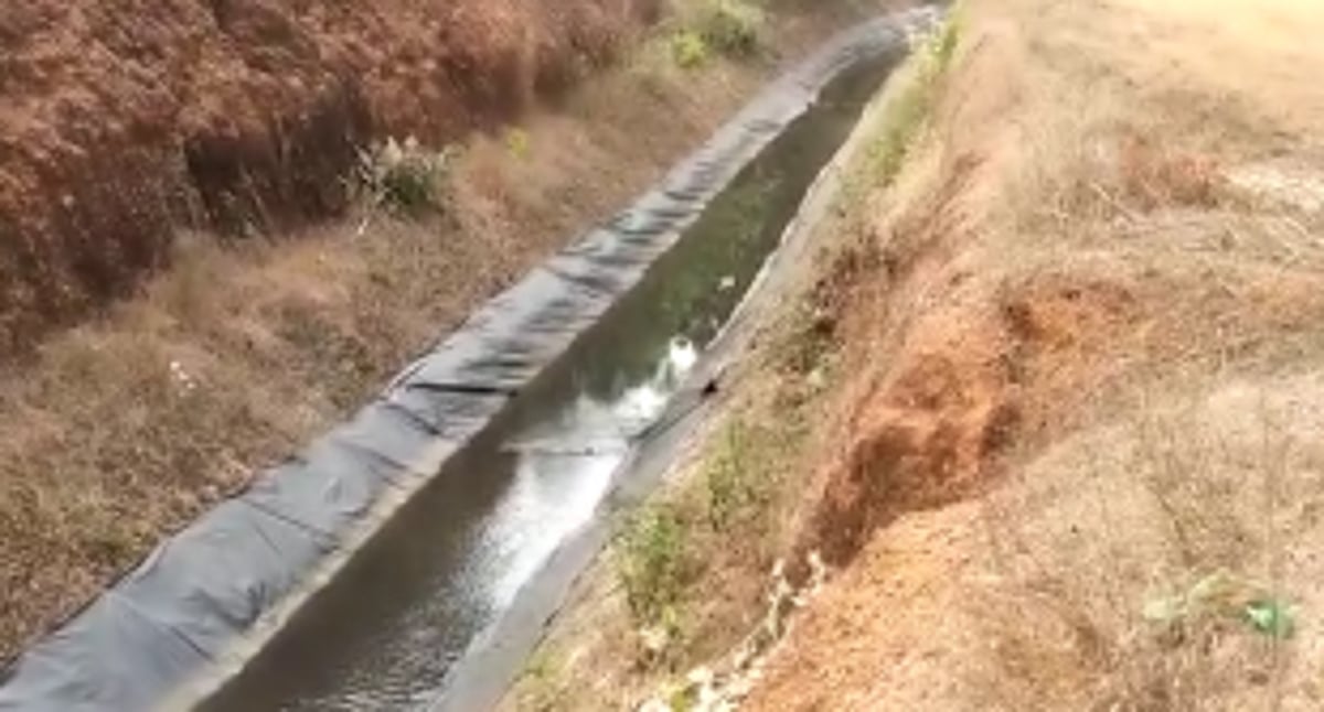 Thousands of litres of water wasted as Tilari Canal leaks