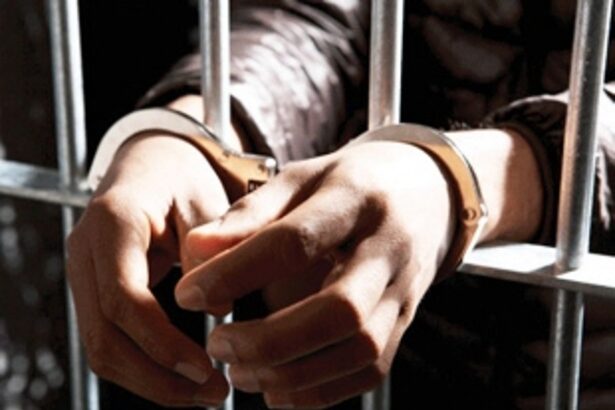 Three accused who fled after Calangute gang fight arrested