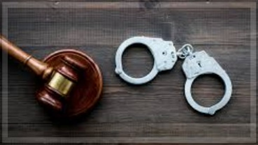 Ponda Forest Department Busts Khair Wood Smuggling Ring, Four Detained 1 Three arrested in Collem for smuggling protected khair wood