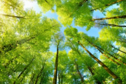 Three-day Environmental Impact Assessment meet concludes