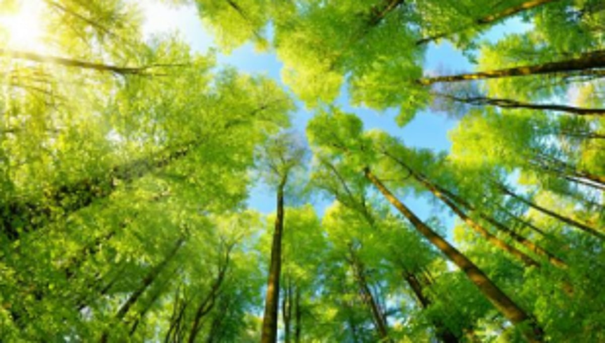 Three-day Environmental Impact Assessment meet concludes