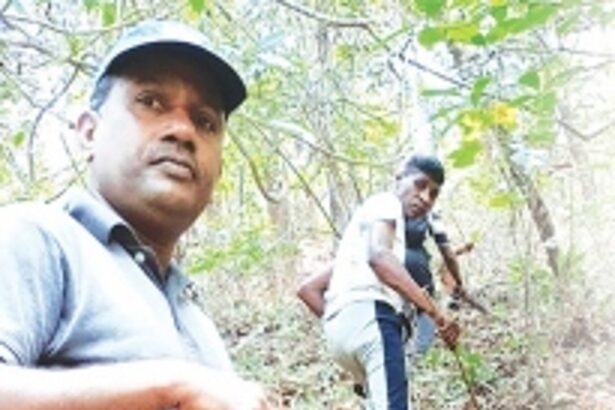 Three fires on densely wooded hill in Netravali village contained by Forest Dept personnel