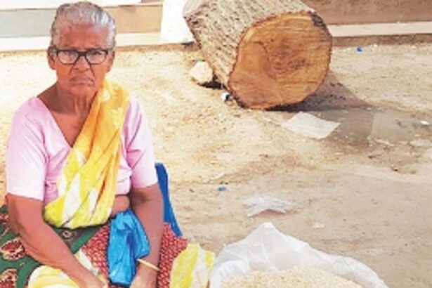 Through hardships and hope, this dry fish seller   defied all odds to provide for her family