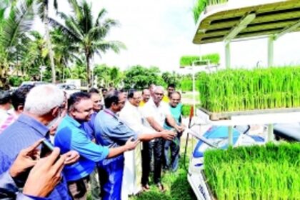 Through ‘collective farming’, Betalbatim ryots aim  to cultivate 3 lakh sq mtrs of paddy fields