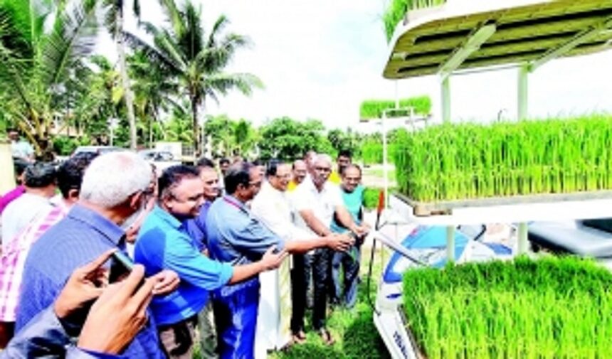 Through ‘collective farming’, Betalbatim ryots aim  to cultivate 3 lakh sq mtrs of paddy fields
