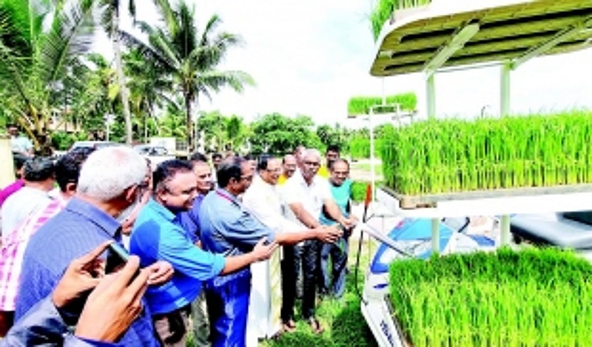Through ‘collective farming’, Betalbatim ryots aim  to cultivate 3 lakh sq mtrs of paddy fields