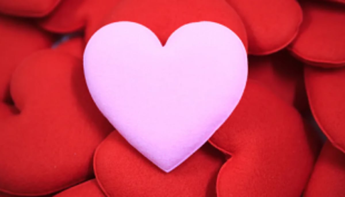 To Sir Lavinio, with love