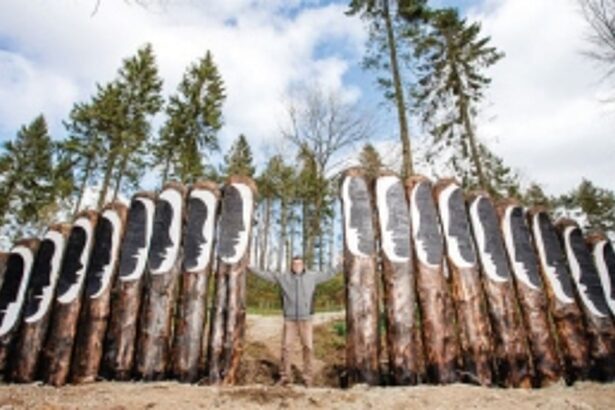 To Yorkshire with Goan love