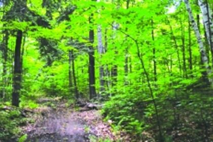 To aid development, State may ‘split’ villages that are only partly eco-sensitive