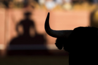 To combat bullfights, govt decides  to sensitise police station incharges