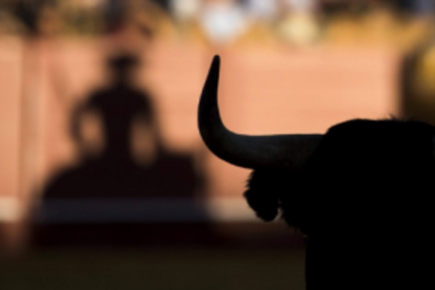 To combat bullfights, govt decides  to sensitise police station incharges