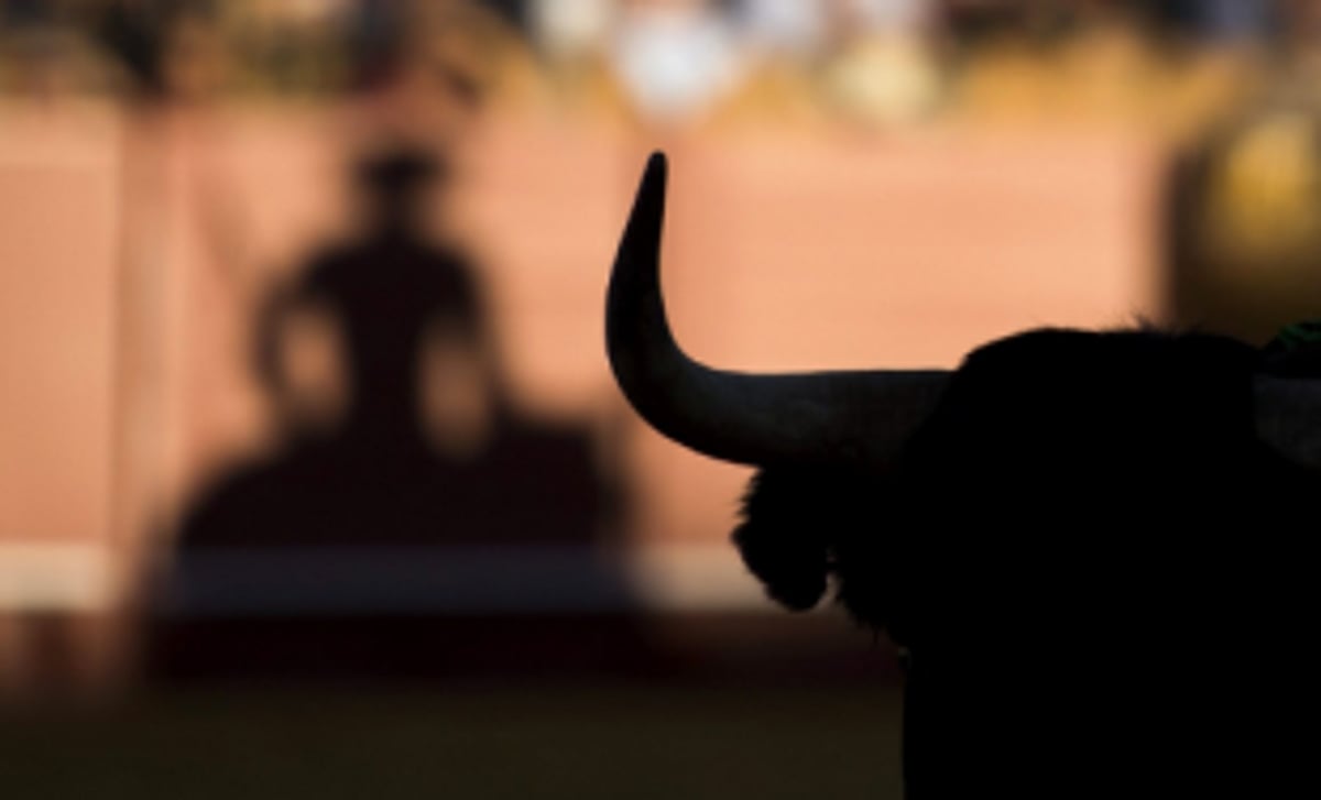 To combat bullfights, govt decides  to sensitise police station incharges