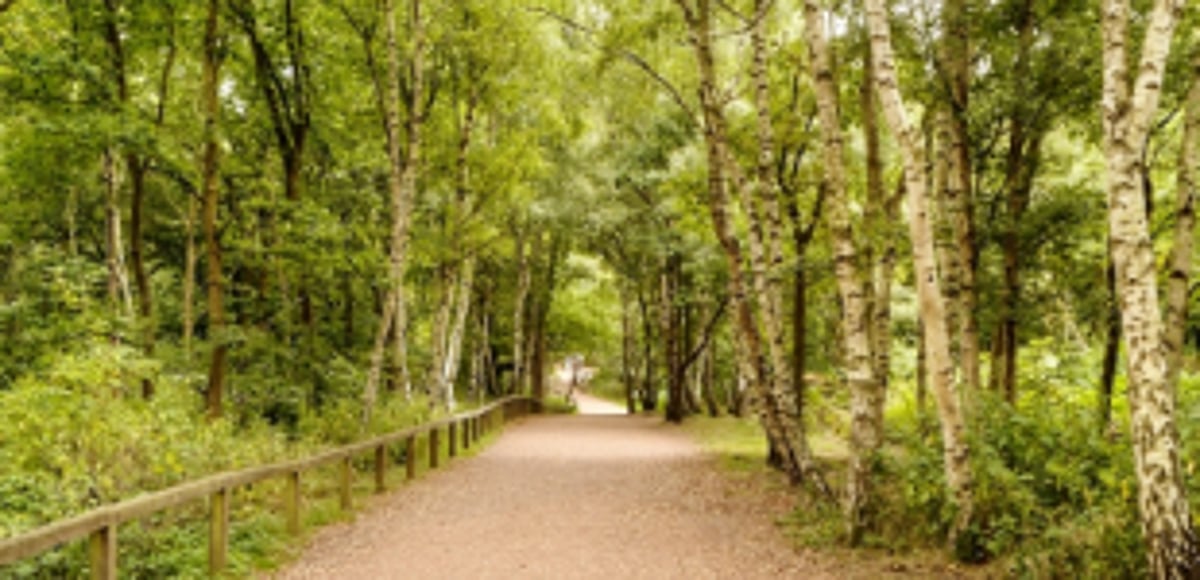 To exist is to change