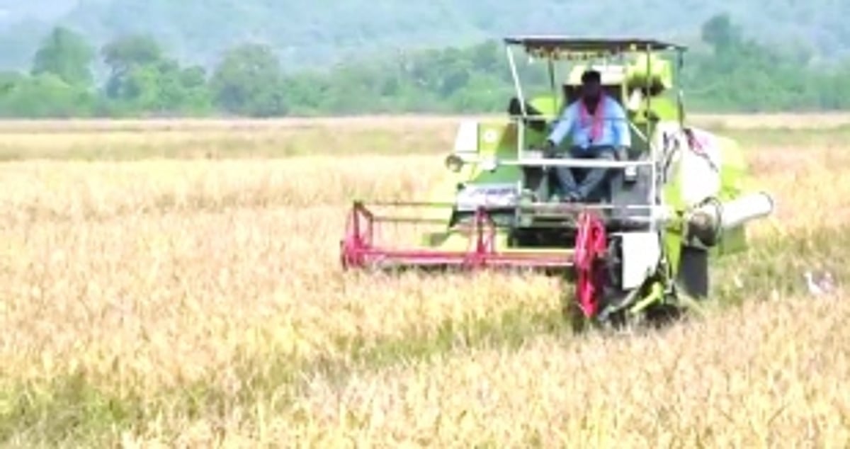To make agri viable, farmers demand raise in support price, timely subsidies