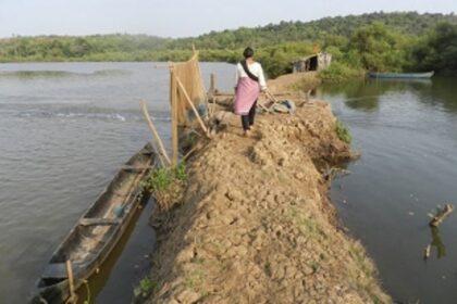 To preserve marine life, GCZMA pushes for constructing eco-friendly traditional bunds