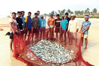To safeguard legacy, veteran fisherfolk strive to revive Goa’s oldest occupation, traditional fishing