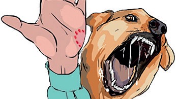 Toddler Killed in Stray Dog Attack in Ponda: CCTV Footage Reveals Horror