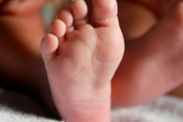 Toddler drowns   in a bucket filled   with water