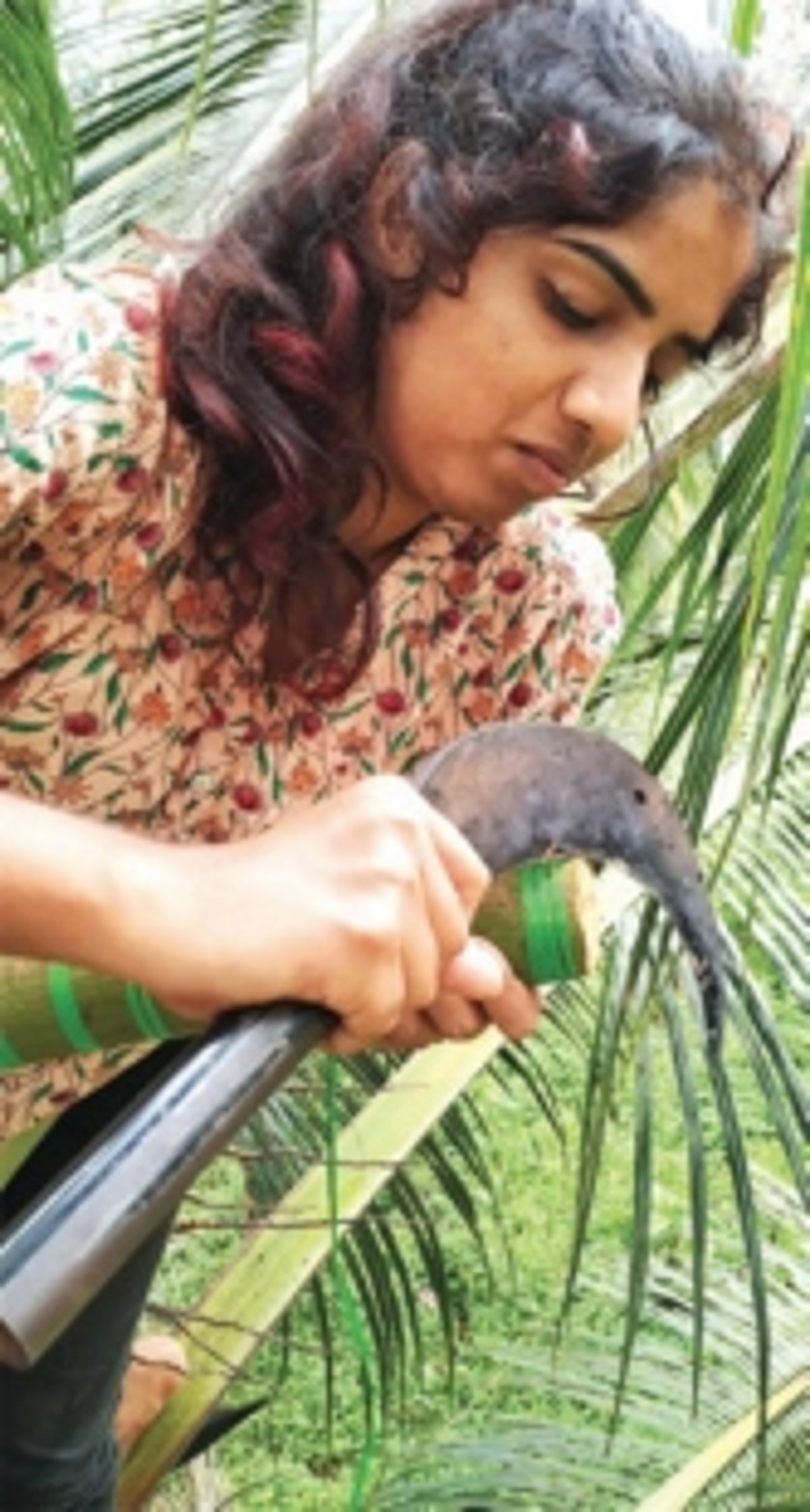 Toddy tappers appeal  for govt schemes to  resuscitate dying occupation