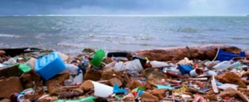 Tonnes of garbage cleared from 37 beaches 1 Tonnes of garbage cleared from 37 beaches