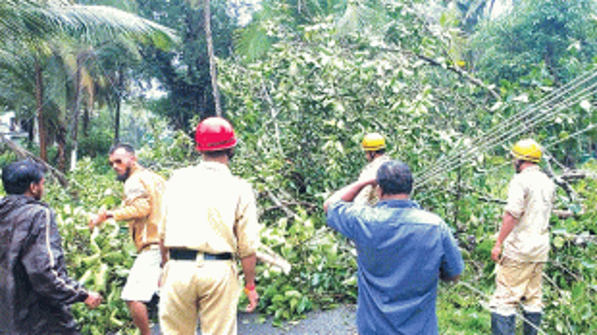 Torrential rains, gusty winds batter and shatter Goa; IMD issues Orange Alert