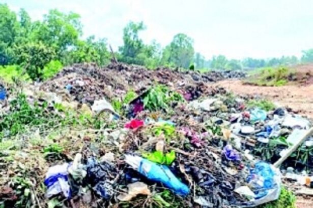 Tough nut to crack: Disposal of coconut shell waste dogs Margao civic body