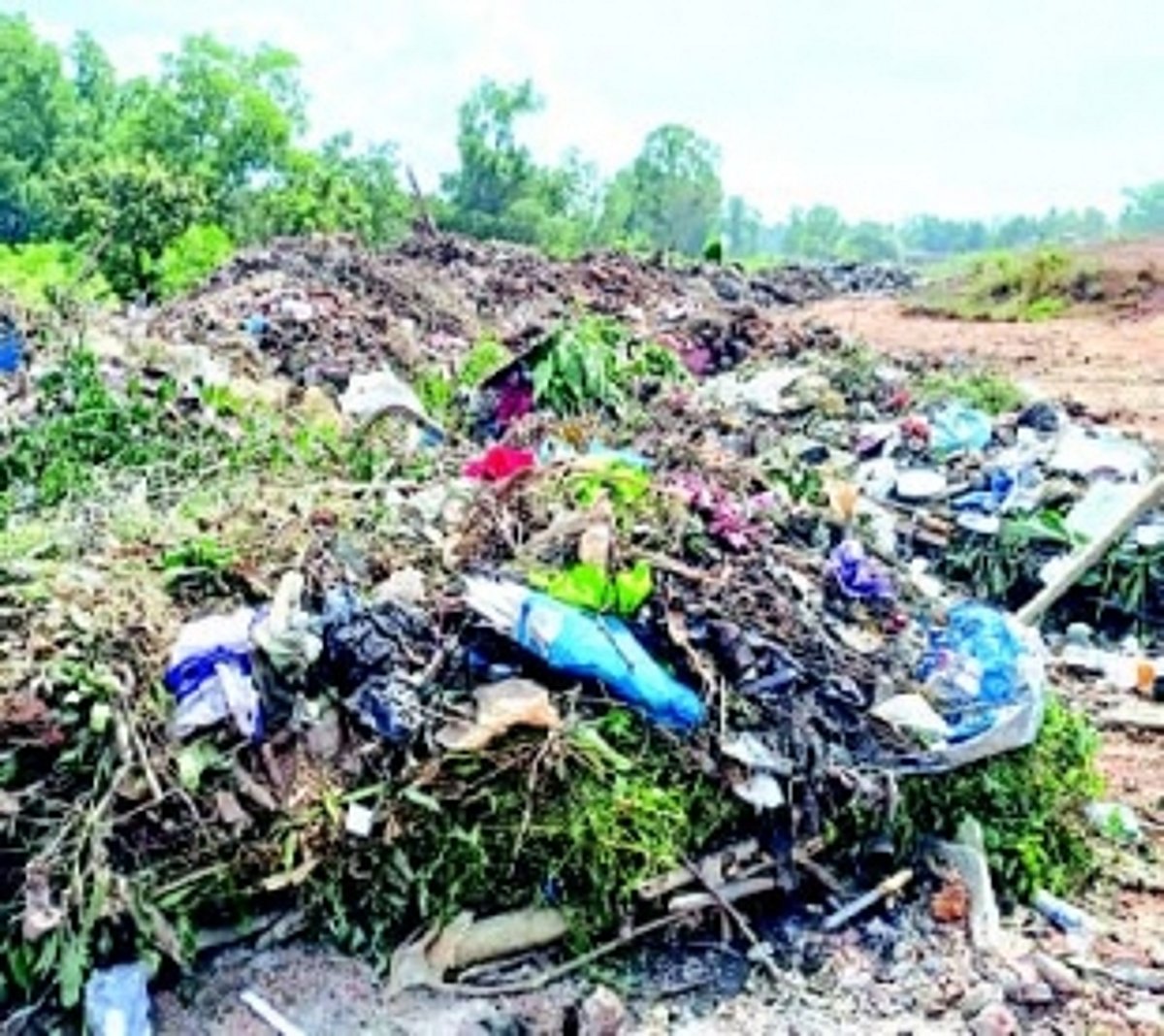 Tough nut to crack: Disposal of coconut shell waste dogs Margao civic body