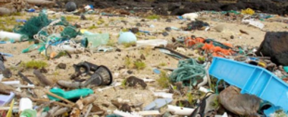 Tourism Department inspects  garbage on the Salcete beaches