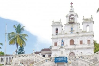 Tourism sector recording losses due  to unregistered activities: Report