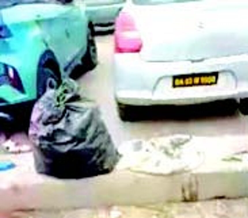 Tourism stakeholders demand clean up of Calangute park area 1 Tourism stakeholders demand clean up of Calangute park area