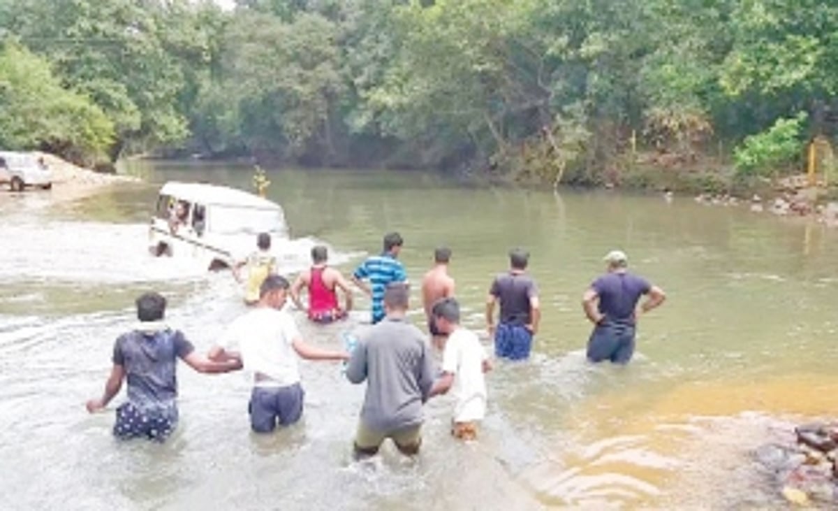 Tourists stranded after Dudhsagar visit rescued by forest personnel
