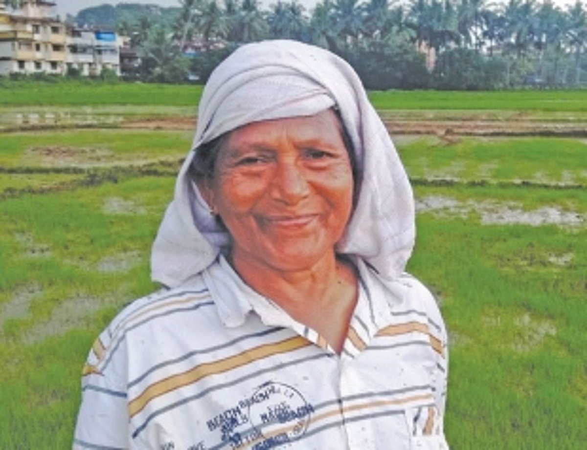 Town farmers fighting lone battles for survival