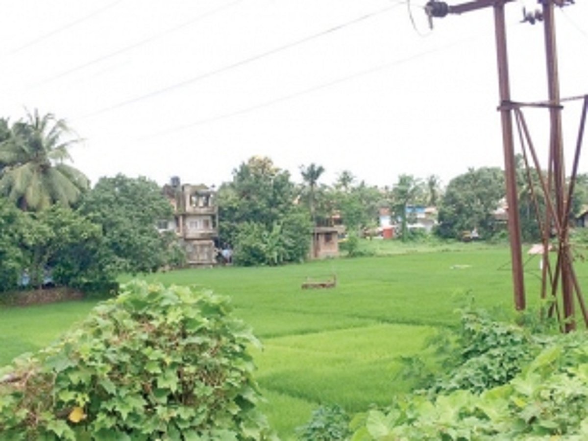 Town’s last  GREEN patches  may soon turn into CONCRETE