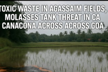 Toxic Waste in Agassaim Fields, Molasses Tank Threat in Canacona Raise Alarm Across Goa