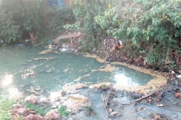 Toxic chemical waste released into main rivulet from Bethora Industrial Estate