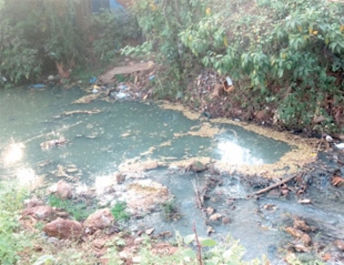 Toxic chemical waste released into main rivulet from Bethora Industrial Estate