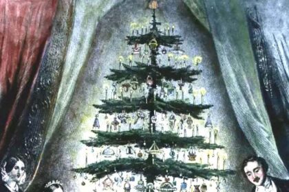 Tracing the roots: How the
Christmas tree became a festive icon