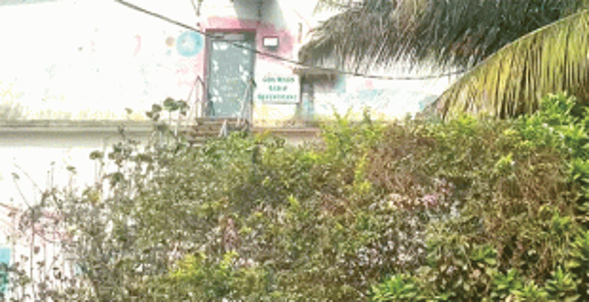 Tracing the ‘business’ joint of the Nigerian-Goan couple, under the ANC scanner