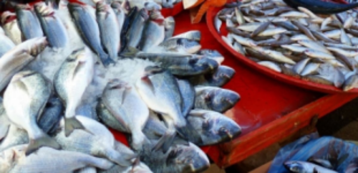 Traders for govt intervention  to open SGPDA fish market