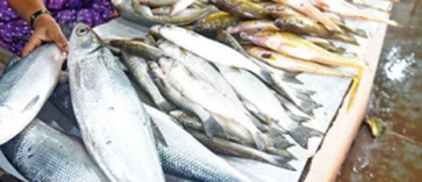 Traders say will not import fish till Margao wholesale market is opened 1 Traders say will not import fish till Margao wholesale market is opened
