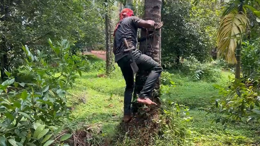 Traditional Coconut Pluckers Reclaim Livelihood in Sanguem with Training, Modern Tools from Agriculture Department 1 Traditional Coconut Pluckers Reclaim Livelihood in Sanguem with Training, Modern Tools from Agriculture Department