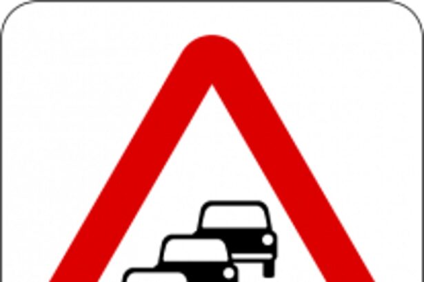 Traffic Cell: Avoid congestion  on Aldona-Betim route