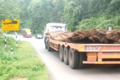 Traffic Cell identifies four deadly blind spots on NH in Ponda, Dharbandora