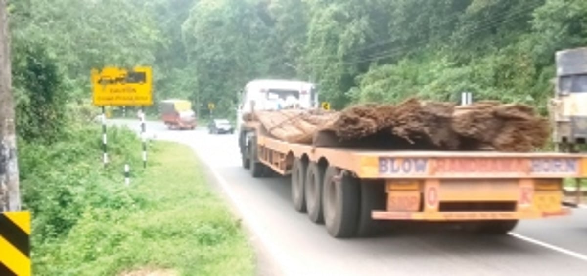 Traffic Cell identifies four deadly blind spots on NH in Ponda, Dharbandora