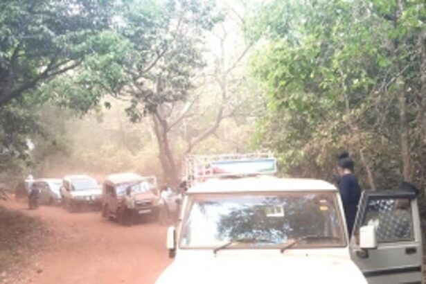 Traffic piles up on the narrow forested road to Govladevi Temple